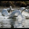 20120329_208